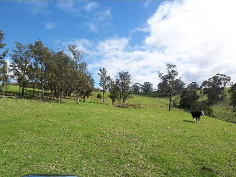482 Old Whitelaws Track, Devon North VIC 3971