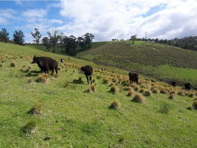 482 Old Whitelaws Track, Devon North VIC 3971