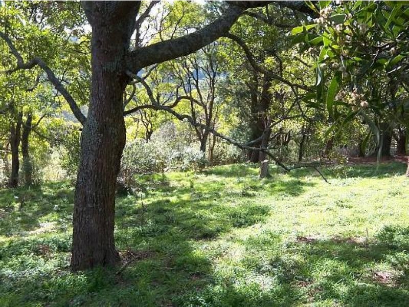 890 Binginwarri South Road, Wonyip VIC 3962