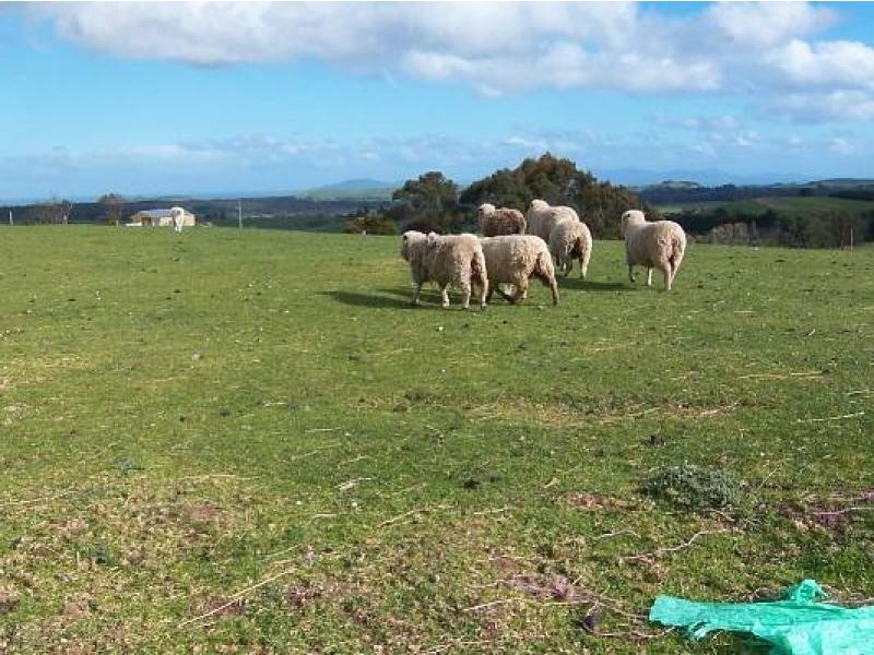 890 Binginwarri South Road, Wonyip VIC 3962