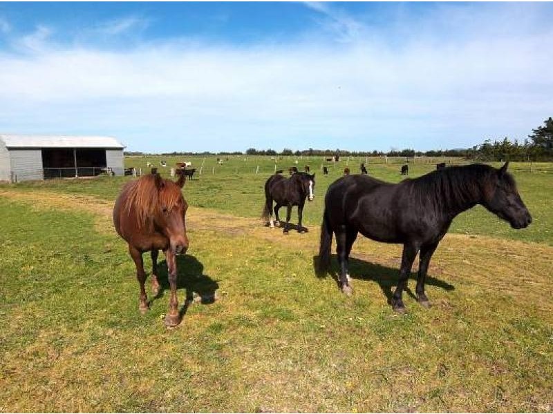 251 Brewery Road, Alberton VIC 3971