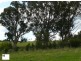 414 Old Whitelaws Track, Devon North VIC 3971