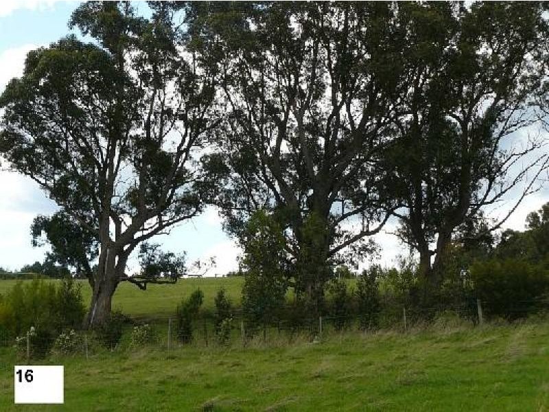 414 Old Whitelaws Track, Devon North VIC 3971
