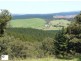 414 Old Whitelaws Track, Devon North VIC 3971