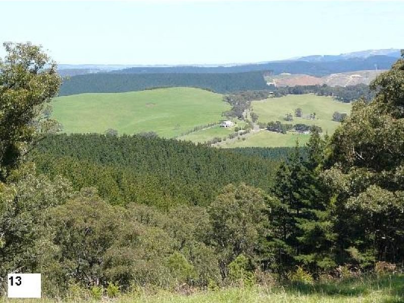 414 Old Whitelaws Track, Devon North VIC 3971