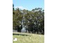 414 Old Whitelaws Track, Devon North VIC 3971