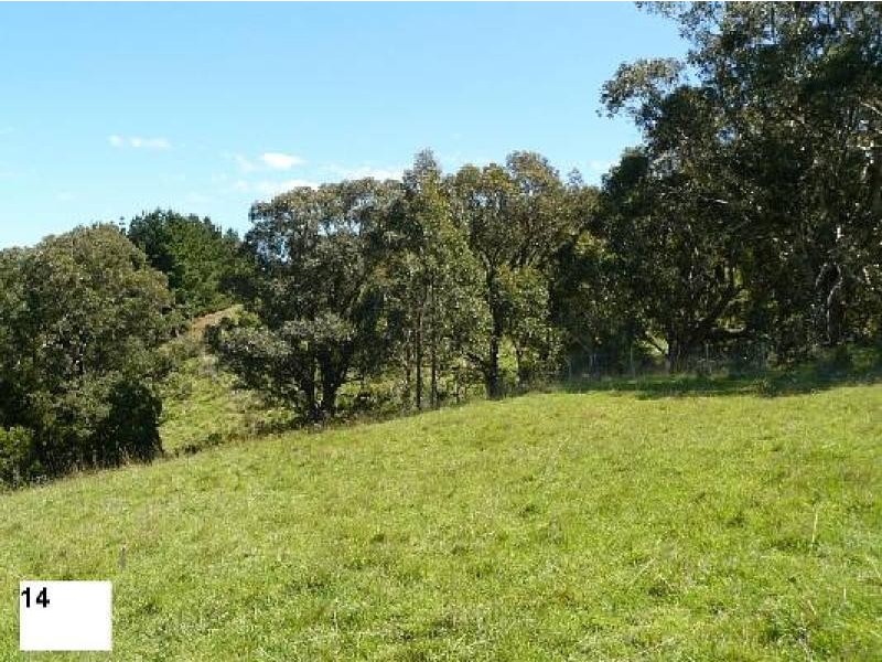 414 Old Whitelaws Track, Devon North VIC 3971