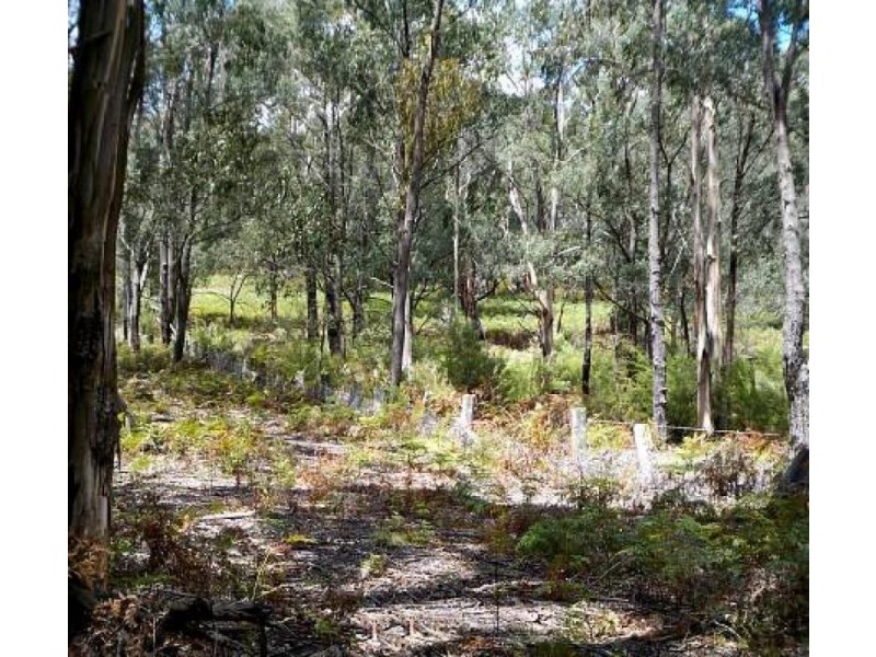 3687 Hyland Highway, Won Wron VIC 3971