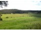 3687 Hyland Highway, Won Wron VIC 3971