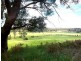 3687 Hyland Highway, Won Wron VIC 3971