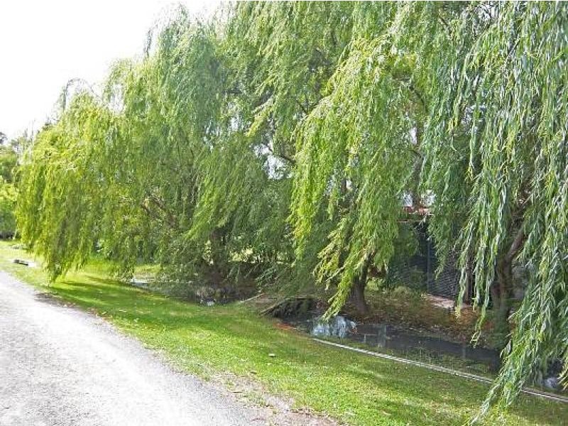 397 Commercial Road, Yarram VIC 3971