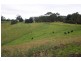 528 Old Whitelaws Track, Devon North VIC 3971