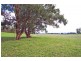 560 Telegraph Road, Hedley VIC 3967