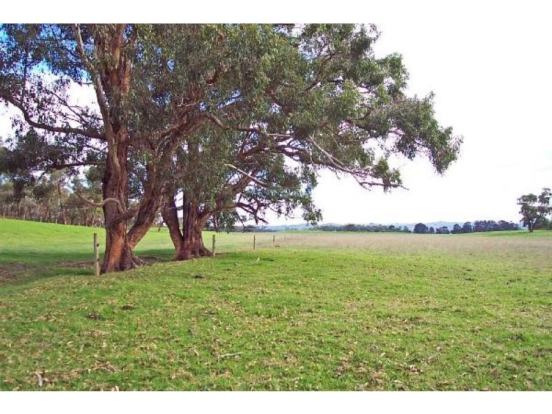 560 Telegraph Road, Hedley VIC 3967