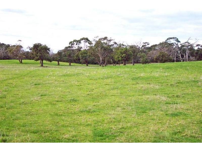 560 Telegraph Road, Hedley VIC 3967
