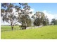 94 Beagleys Road, Devon North VIC 3971