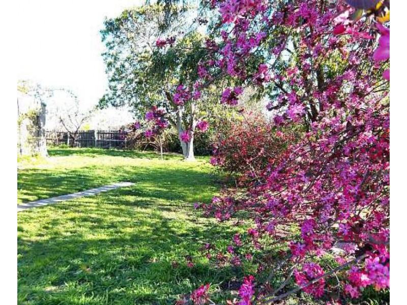 56 Yarram Street, Yarram VIC 3971