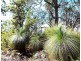 Yarram VIC 3971