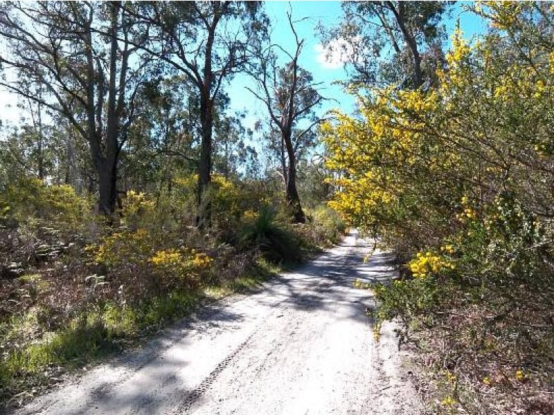 Yarram VIC 3971