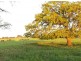 Jack River VIC 3971