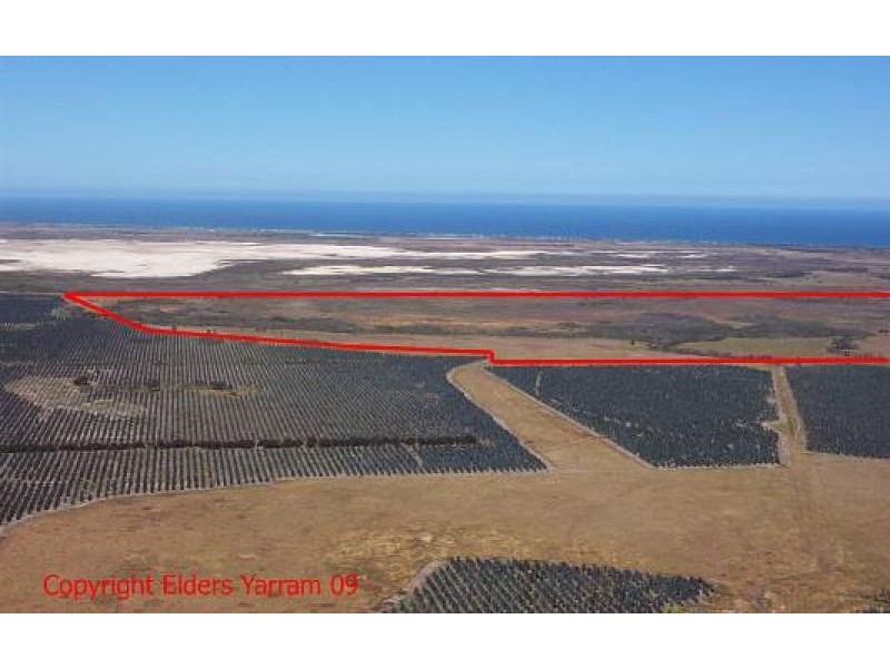 Woodside Beach VIC 3874