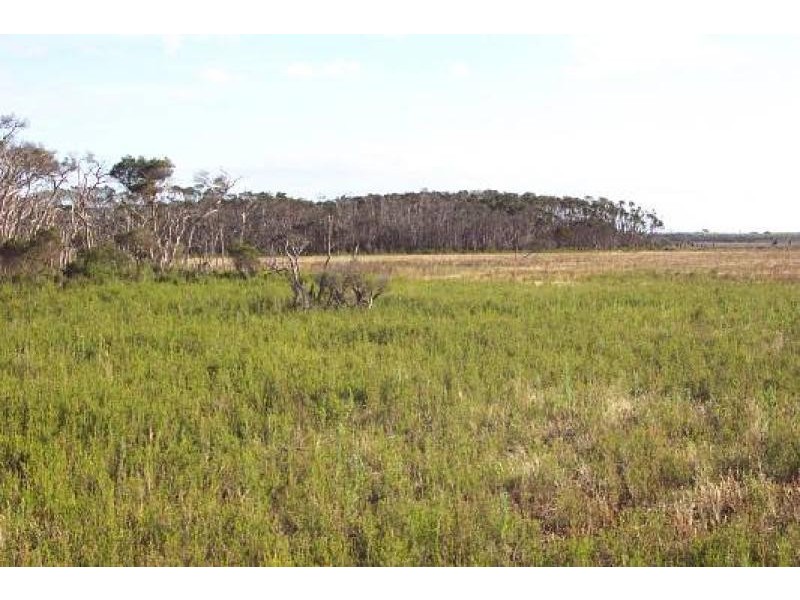 Woodside Beach VIC 3874