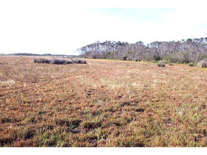 Woodside Beach VIC 3874