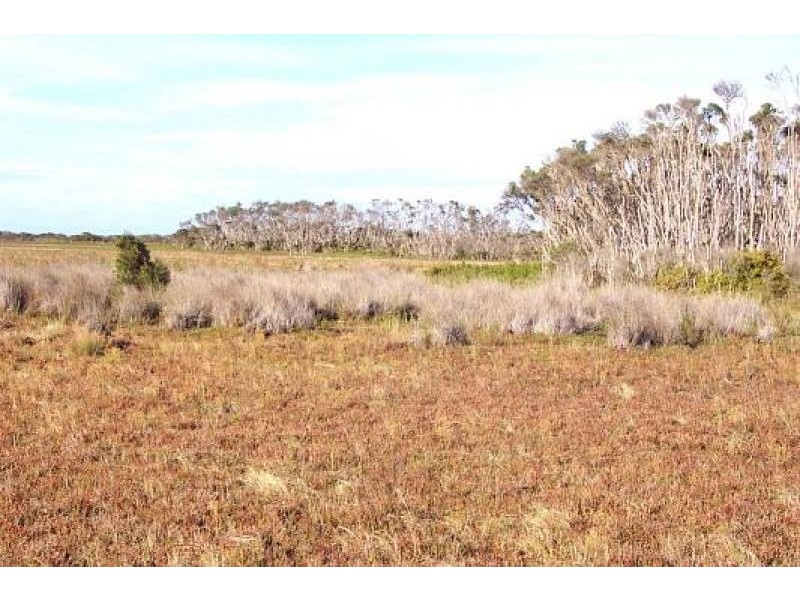 Woodside Beach VIC 3874