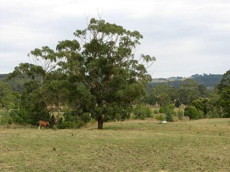 Binginwarri VIC 3966