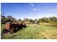 532 Yarram – Port Albert Road, Port Albert VIC 3971
