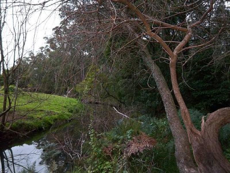 Binginwarri VIC 3966