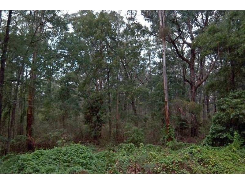 Binginwarri VIC 3966