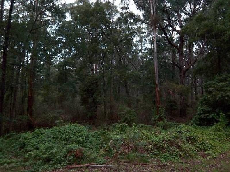 Binginwarri VIC 3966