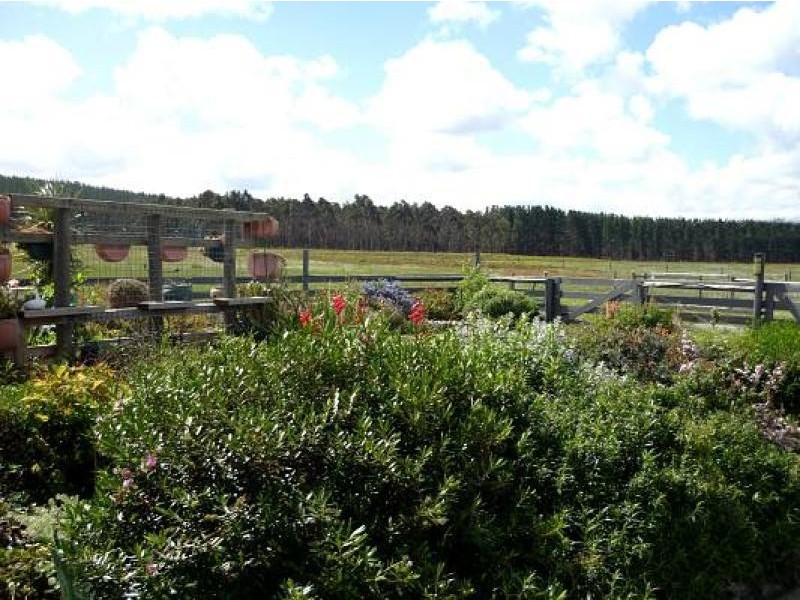 180 Holmans Road, Yarram VIC 3971