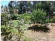 31 Napier Road, Won Wron VIC 3971