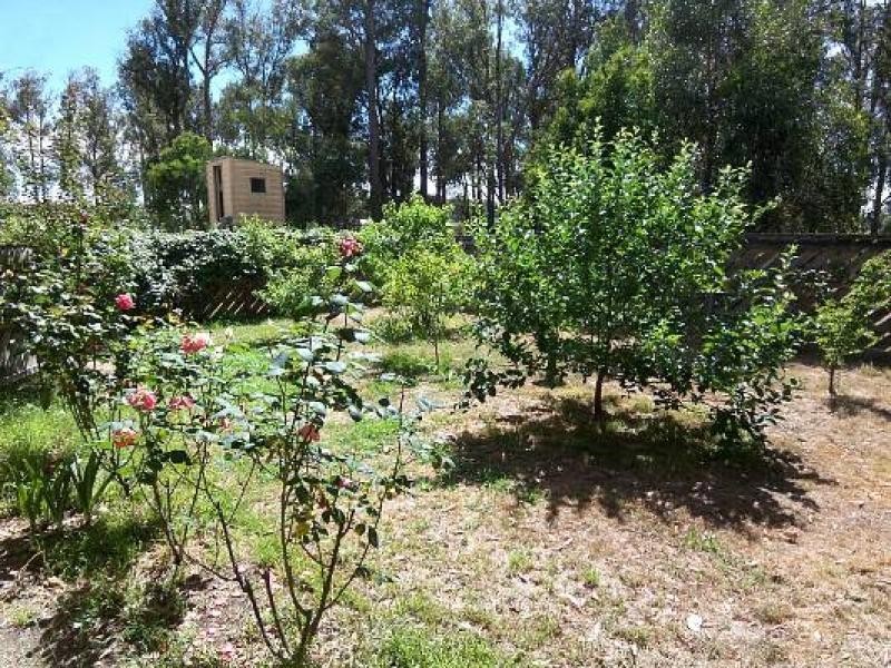 31 Napier Road, Won Wron VIC 3971