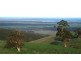 Lot 1/ Hedley Range Road, Binginwarri VIC 3966