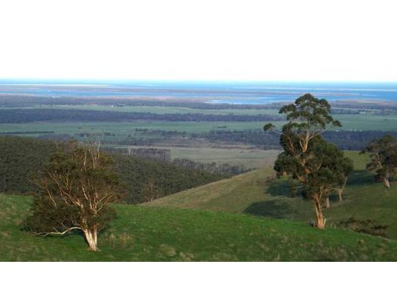 Lot 1/ Hedley Range Road, Binginwarri VIC 3966