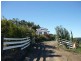 796 Bolgers Road, Devon North VIC 3971