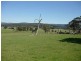 796 Bolgers Road, Devon North VIC 3971