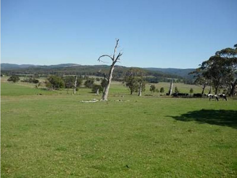 796 Bolgers Road, Devon North VIC 3971