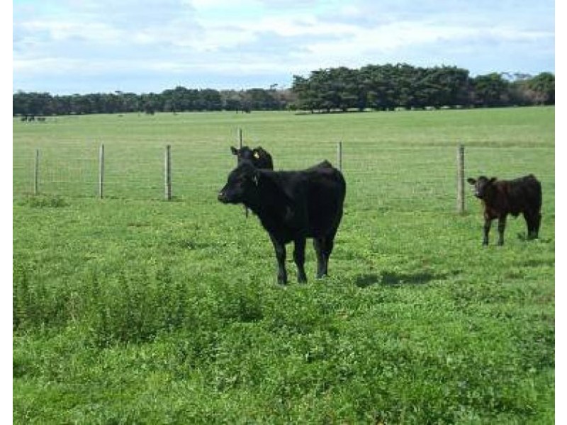 7438 South Gippsland Highway, Gelliondale VIC 3971