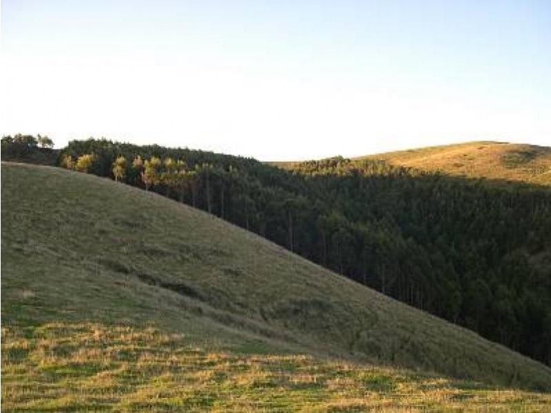75 McKane’s Road, Toora VIC 3962