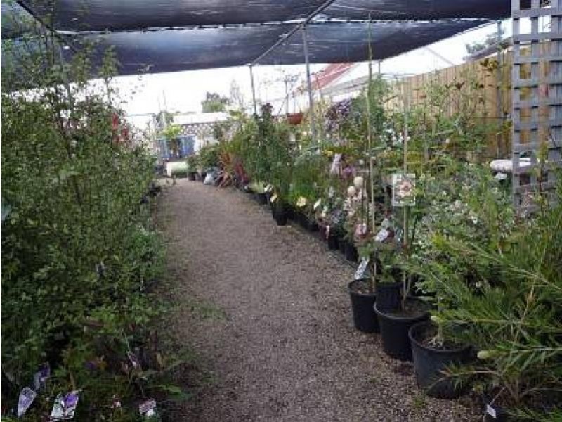 231 Commercial Road, Yarram VIC 3971