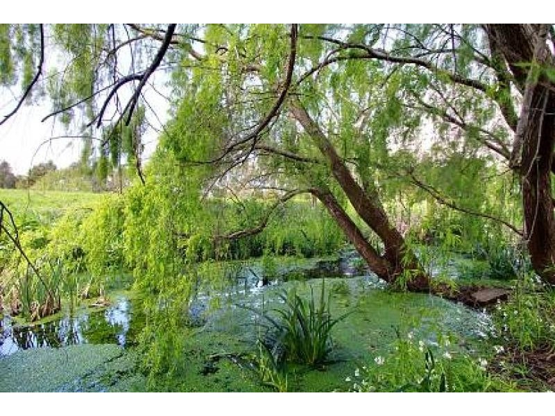5 Blackshaws Road, Alberton West VIC 3971