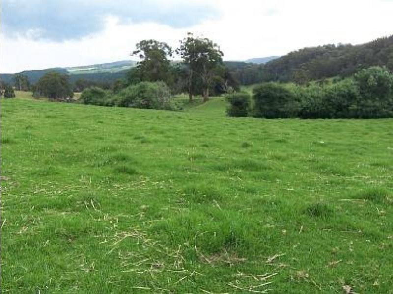 1010 Tarra Valley Road, Tarra Valley VIC 3971