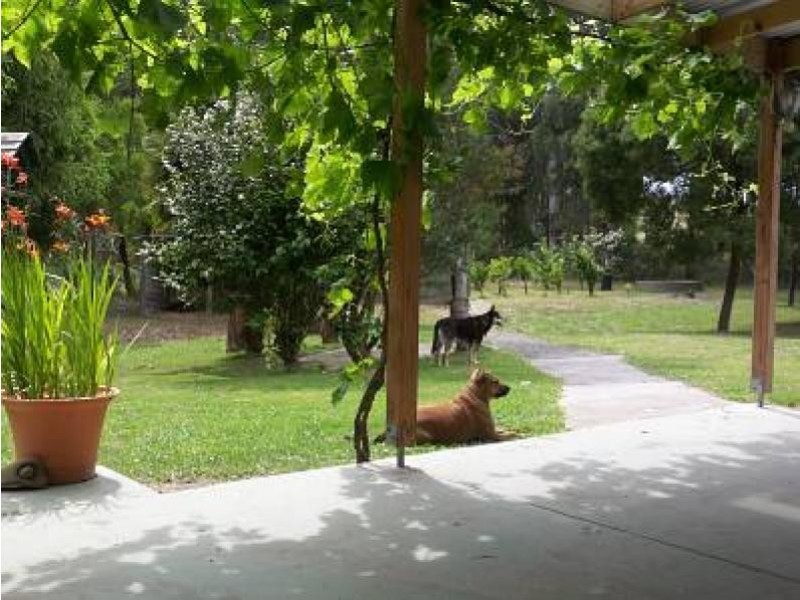 200 Hedley Range Road, Binginwarri VIC 3966