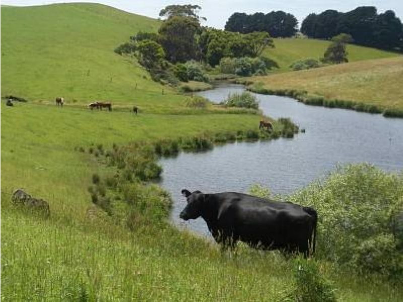 1 Orchards Road, Hazel Park, Welshpool VIC 3966