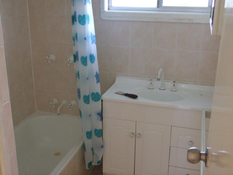 10 ALAWOONA STREET, Redbank Plains QLD 4301