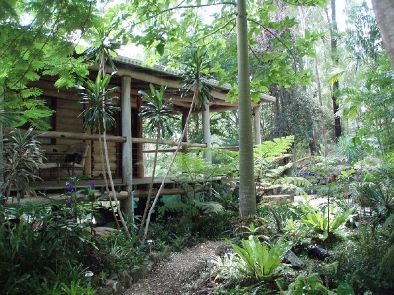 397 DENNIS ROAD, Cedar Vale QLD 4285